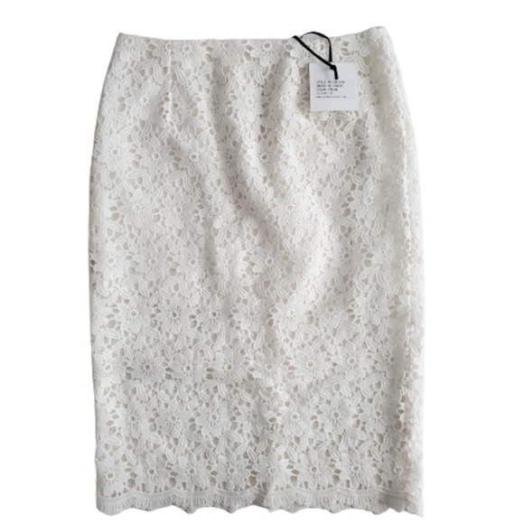 True Decadence Sheer Lace Pencil Skirt, US 6 - Picture 3 of 7